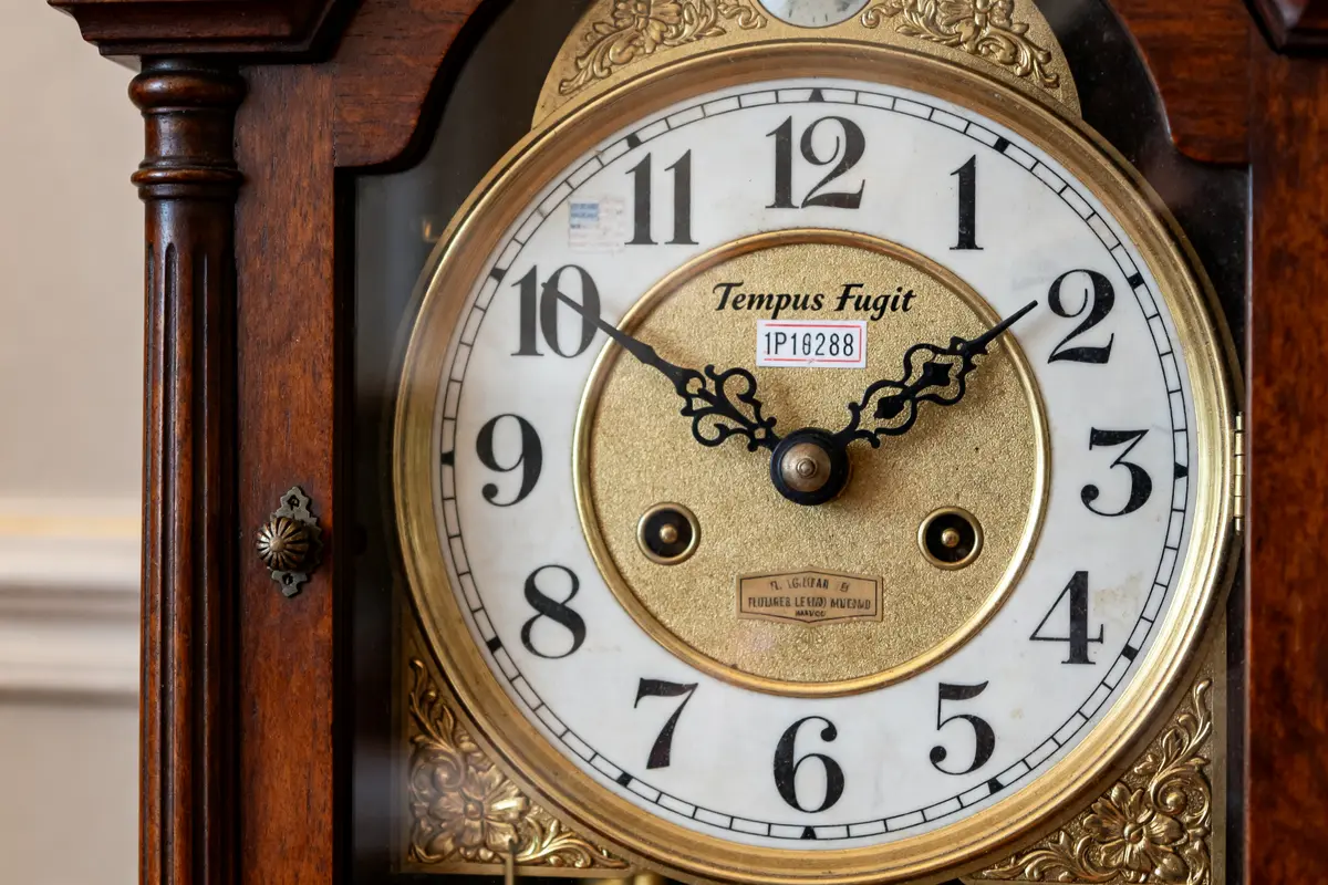 Tempus Fugit Grandmother Clock: Identify Model, Age &amp; Value