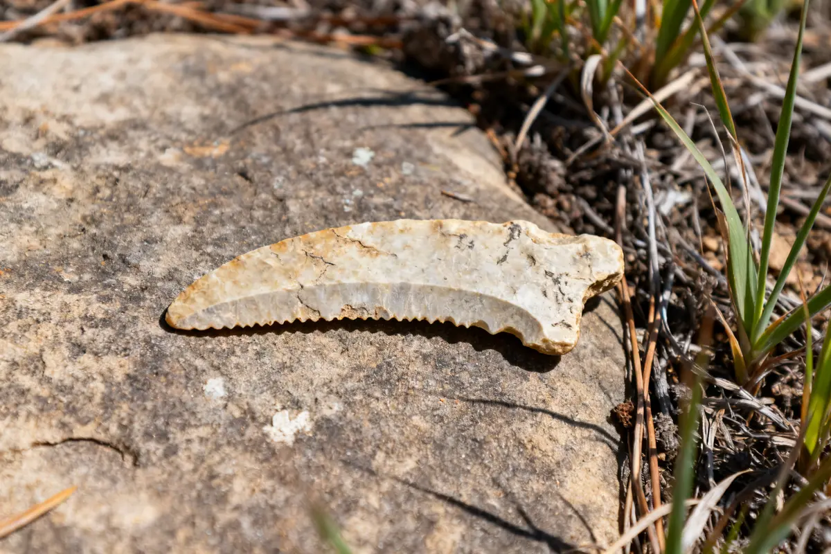 Thumb Scraper Artifact: History, Types, and How to Identify One