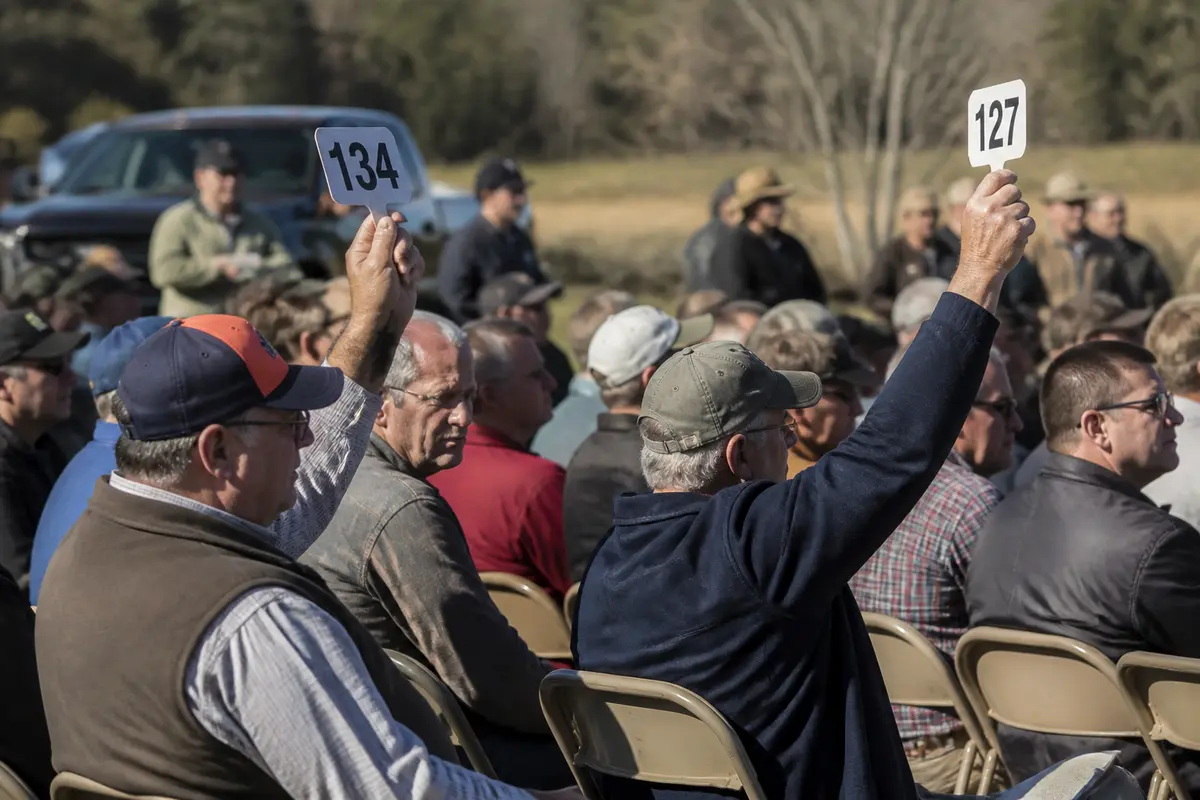 People attending outdoor land auction in Georgia, holding up bid paddles, seated outdoors
